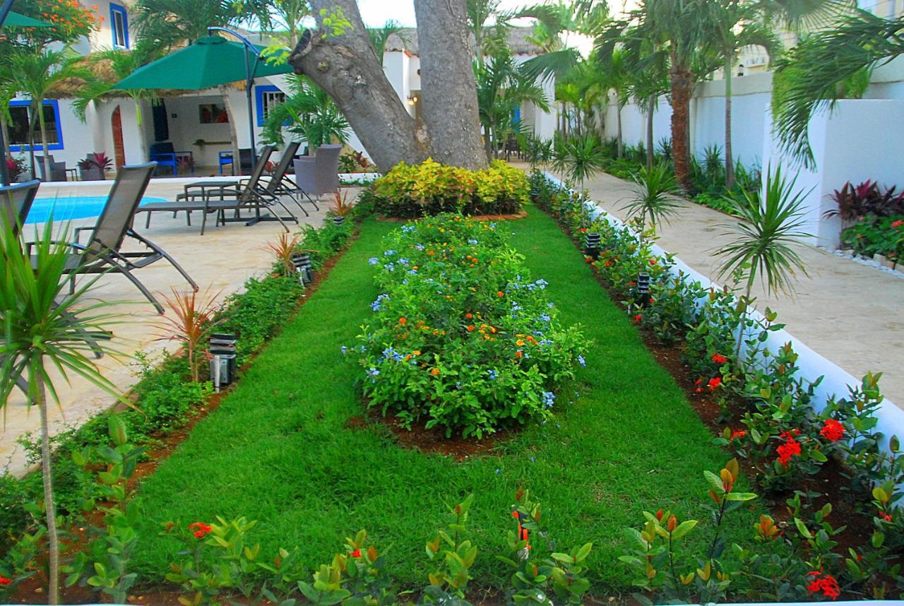 Nuovo Hotel Playa Catalina ลาโรมานา ภายนอก รูปภาพ