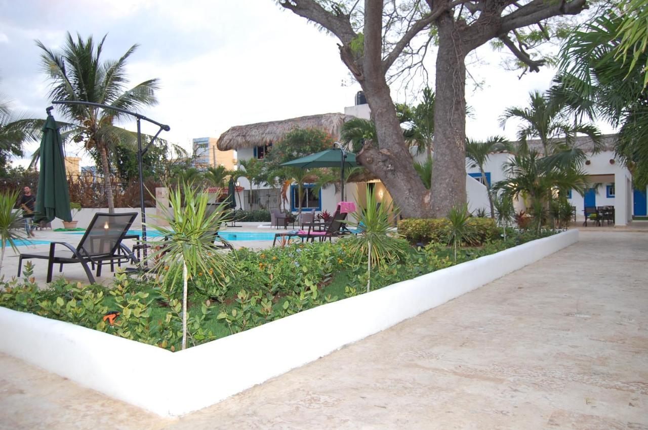Nuovo Hotel Playa Catalina ลาโรมานา ภายนอก รูปภาพ