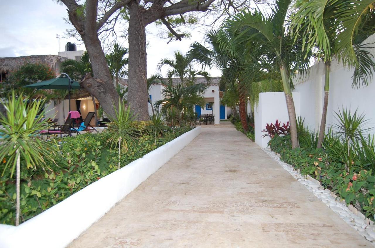 Nuovo Hotel Playa Catalina ลาโรมานา ภายนอก รูปภาพ